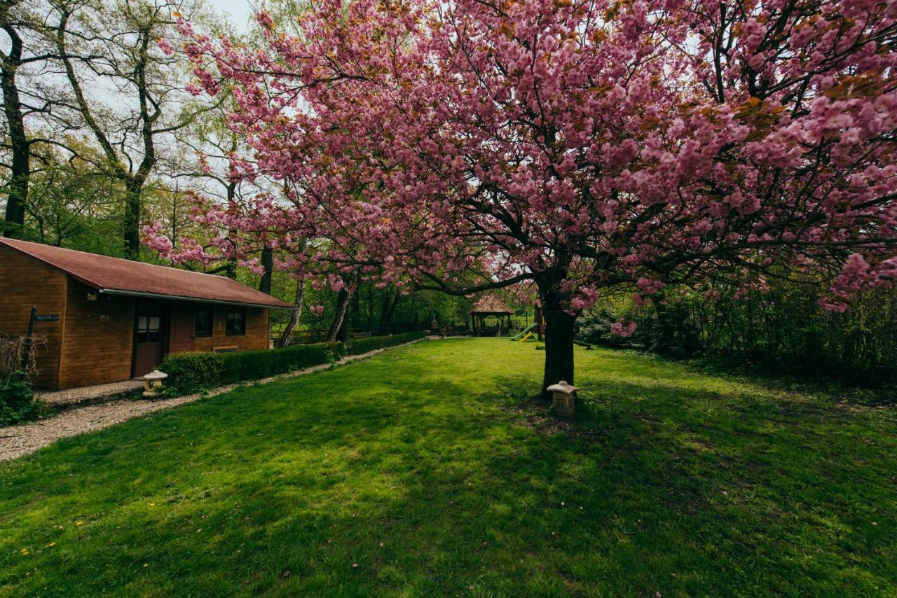 Hotel Shubu Zen Vendeghaz Szilvásvárad Zewnętrze zdjęcie