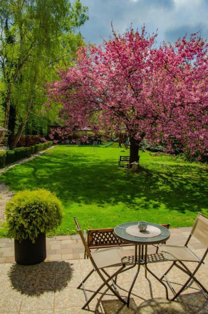 Hotel Shubu Zen Vendeghaz Szilvásvárad Zewnętrze zdjęcie